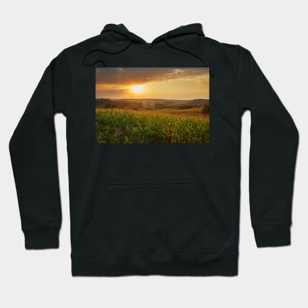 Corn field at sunset Hoodie by naturalis